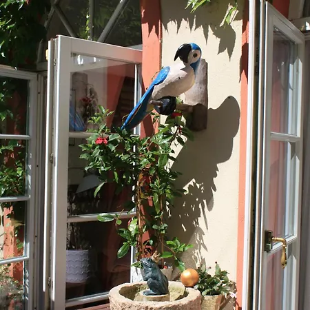 Penzion Haus Buchheim - Am Schloss